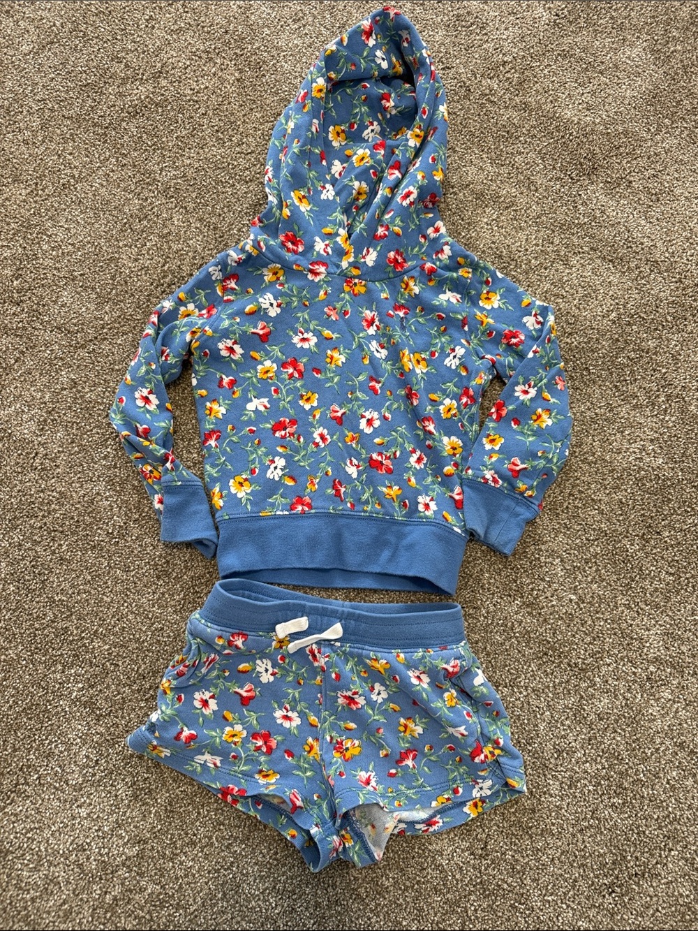 Toddler girl Ralph Lauren set 3T
